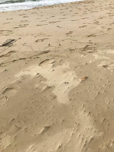 图片的金色沙滩沙子压实和潮湿的潮水，脚印和波纹图案，海滩度假壁纸背景图像海报，文本复制空间图片下载