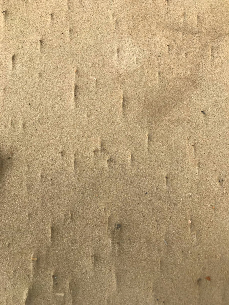 图片的金色沙滩沙子紧致和潮湿的潮水，波纹图案，海滩假日度假壁纸背景图像海报，文本复制空间图片下载