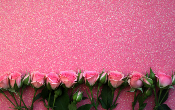 平坦的粉红色玫瑰对发光的背景，复制空间的文本图片下载