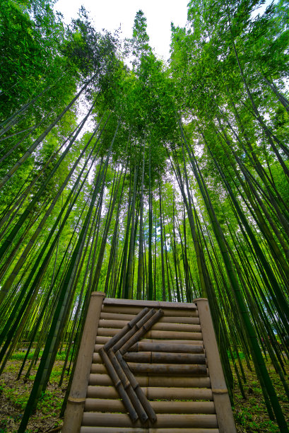 开/前进图片下载