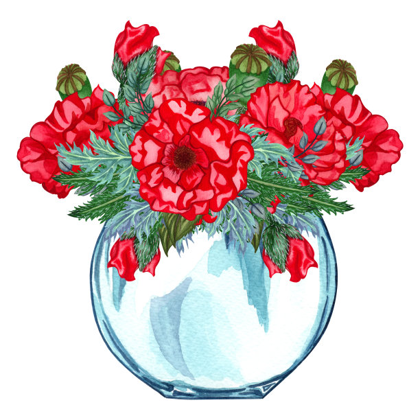 水彩玻璃花瓶，里面有一束红色的花，手工画在一个白色的背景孤立。水彩画罐与红色罂粟花束。夏天野花花束图片下载