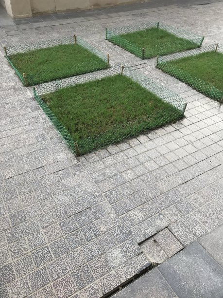 草生长来装饰地板图片下载