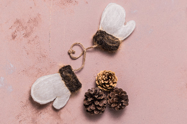 粉粉背景的圣诞复古装饰品素材图片