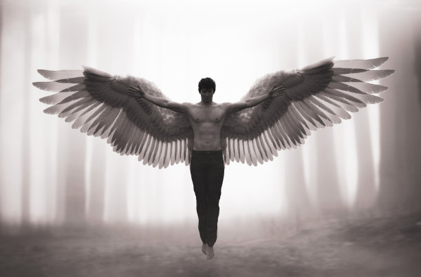 神秘森林中的天使，3d插画图片下载