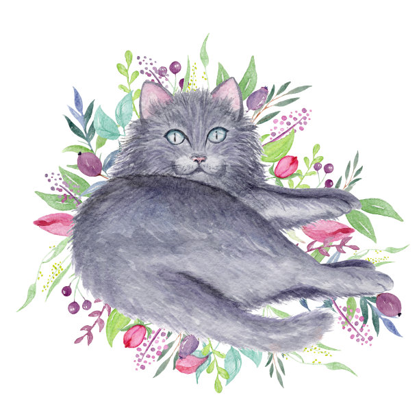 猫插画素材ID：342682284