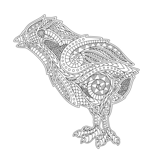 艺术着色书与有趣的卡通鸡图片下载