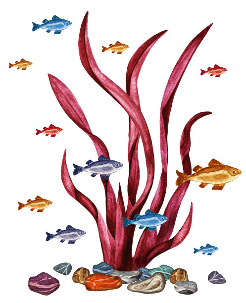 水彩海藻，鱼，草，石头图片下载