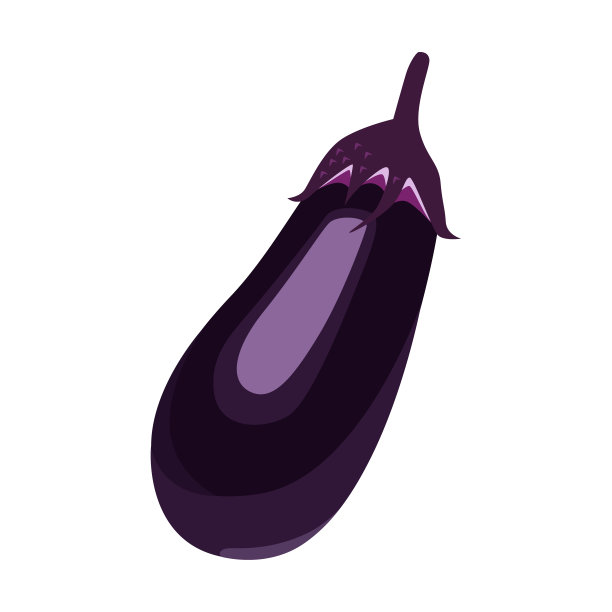 茄子的插图。新鲜可口的茄子。秋天和夏天有美味的蔬菜。图片下载