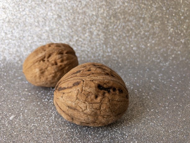 灰色背景上的干核桃图片下载