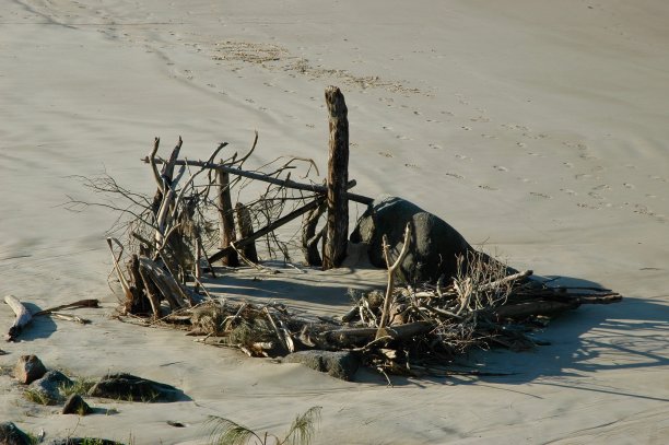 岩石和浮木聚集在海滩上。图片下载