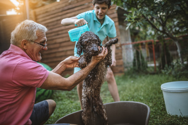 和爷爷一起给狗洗澡图片下载