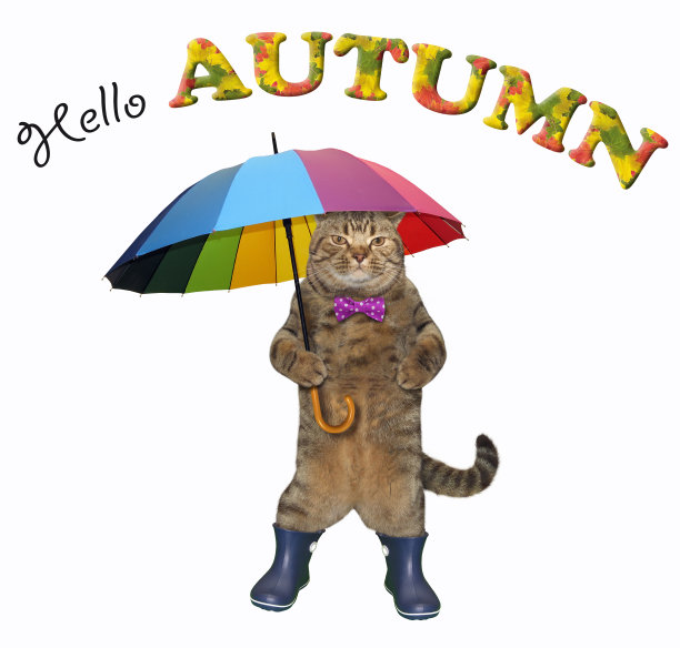 穿靴子的猫迎接秋天图片下载