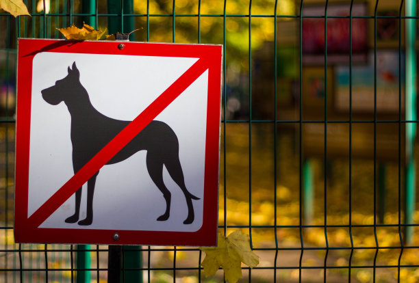 禁止带狗的标志。白色与红色的篱笆上的幼苗与狗不能在秋天的背景。图片下载