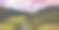 典型的俄罗斯乡村风景的摄影艺术图片，森林和河流在多云的戏剧性的蓝天下图片下载