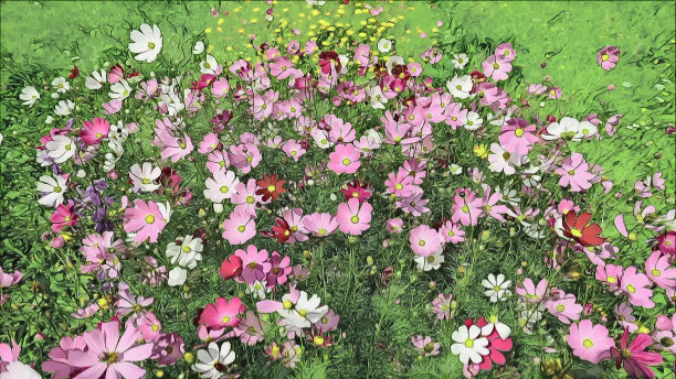 各种充满活力的花园鲜花在阳光灿烂的绿色草地上的夏季摄影艺术图片图片下载