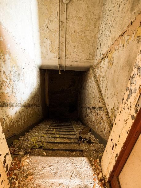 密歇根州特拉弗斯城的旧州立精神病院图片下载