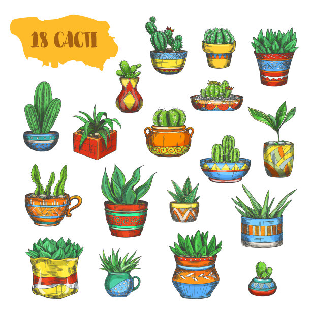 一组孤立的仙人掌在花盆在细线图片下载