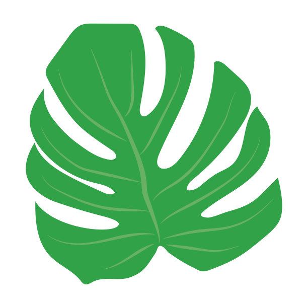 时髦的手掌，伟大的设计为任何目的的白色背景。花卉插图。奇异的林木。矢量花设计卡。植物绘画。自然背景。矢量图模板。图片下载