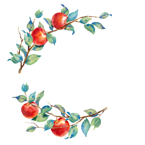 苹果插画素材ID：342725862