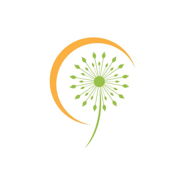蒲公英矢量图标设计