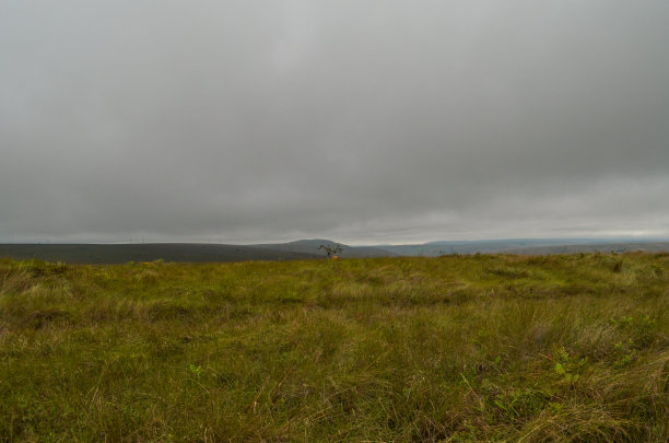 Serra da Canastra山脉图片下载