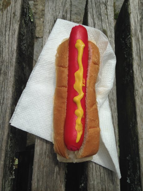 著名的缅因红狗图片下载