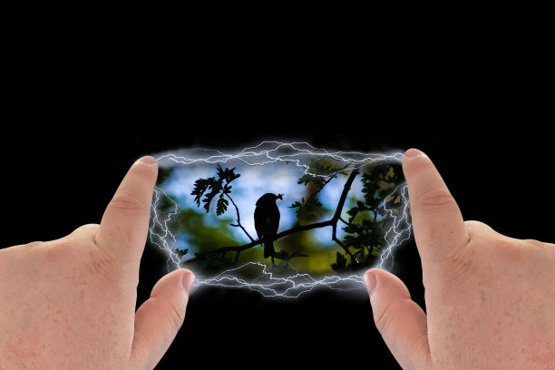 在空间中手工制作一个入口，后面有一只鸟的剪影图片下载