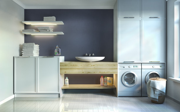 洗衣房、水槽和外墙。三维演示图片下载