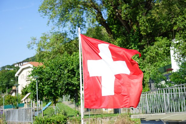 阳光明媚的瑞士国旗图片下载