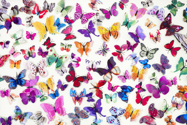 彩色蝴蝶的图案孤立在白色的背景。装饰蝴蝶的背景。有蝴蝶和昆虫图案的墙纸。图片下载