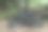 在树旁骑车图片下载
