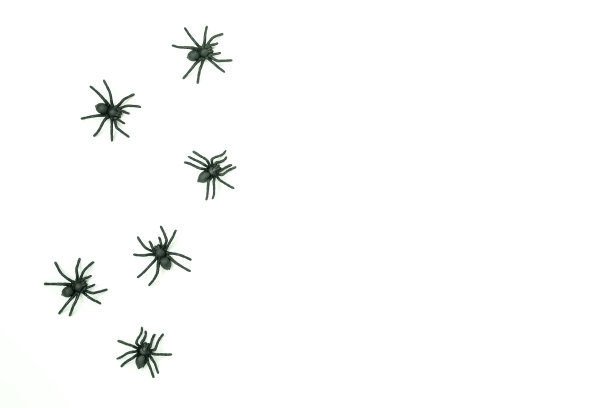 桌面俯视鸟瞰图装饰万圣节快乐的背景概念。平铺配件基本对象安排蜘蛛在白色木制。复制空间的创意设计文本。图片下载