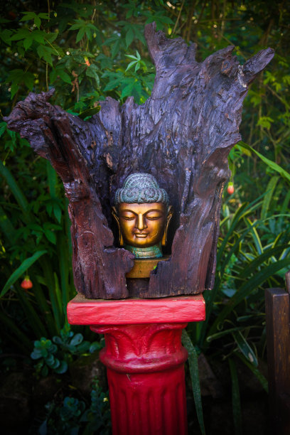 佛像孤立在自然和绿色背景与复制空间。佛教是宗教、和平和灵性的象征图片下载