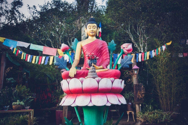 佛像孤立在自然和绿色背景与复制空间。佛教是宗教、和平和灵性的象征图片下载