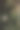 佛像孤立在自然和绿色背景与复制空间。佛教是宗教、和平和灵性的象征图片下载