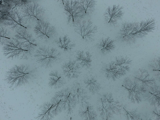 上面的冷图片下载