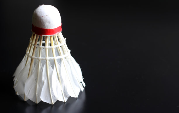 羽毛球羽毛球图片下载