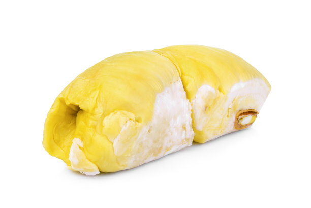 榴莲热带水果孤立在白色背景图片下载