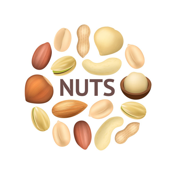 逼真详细的3d不同类型的坚果圆形设计模板广告。向量图片下载