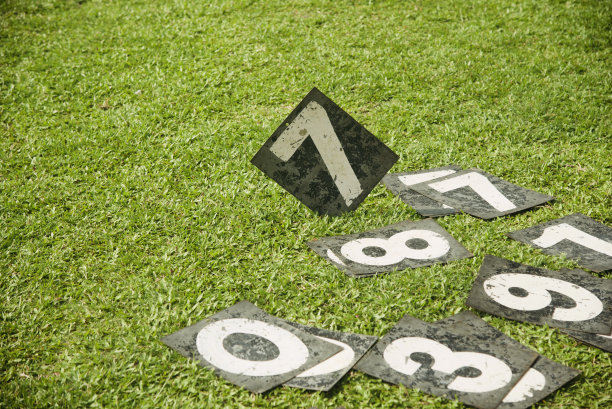 绿色地面上的金属号牌图片下载