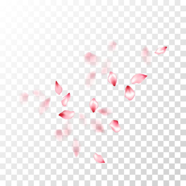 粉色樱花花瓣飘落矢量图形。图片下载