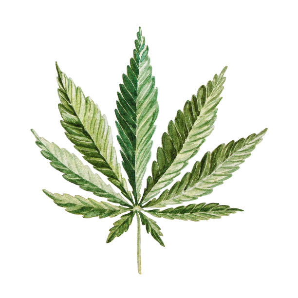 水彩大麻图片下载
