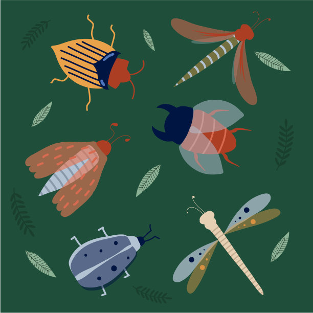 一组长着叶子的甲虫。图片下载