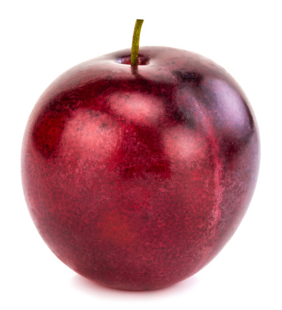 白色背景上的李子图片下载