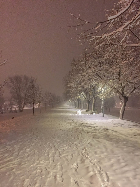 公园里田园诗般的冬夜。图片下载