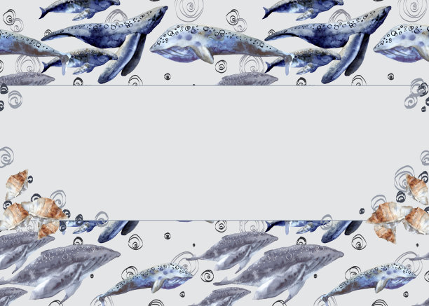 框架与海鲸鱼。孤立在白色背景上图片下载