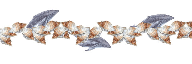 框架与海鲸鱼。孤立在白色背景上图片下载