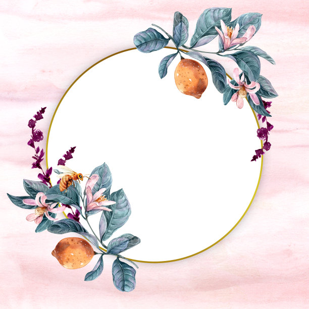 花插图，叶和芽。植物图片下载