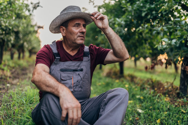 农夫坐在果园里图片下载