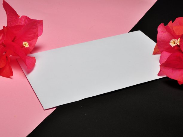 带有花卉图案的空白纸图片下载